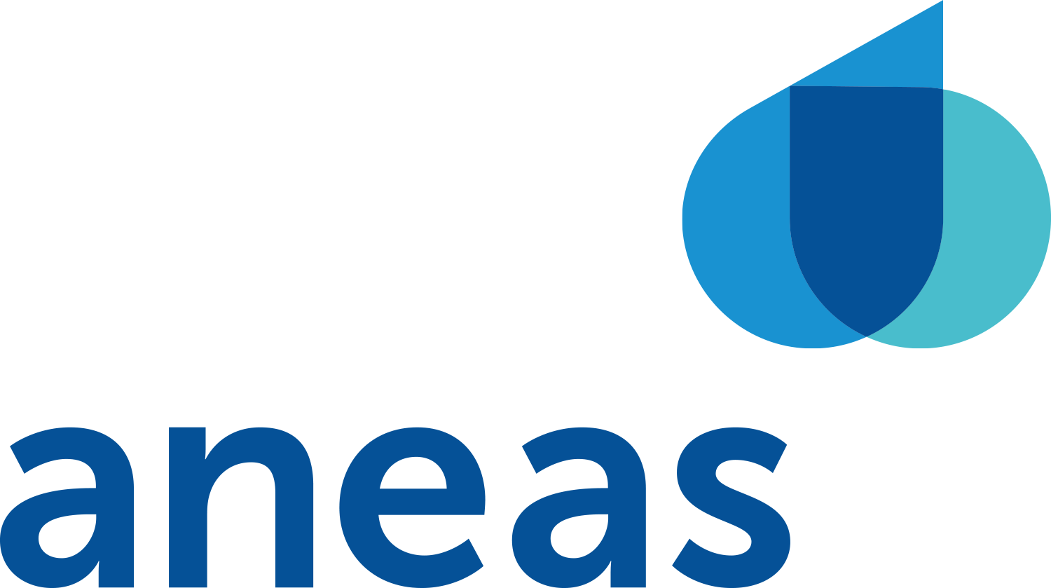 Logo ANEAS